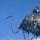 Image for article titled The All-Time Craziest "Thing of the Week" Formulas from Science Fiction and Fantasy TV Shows